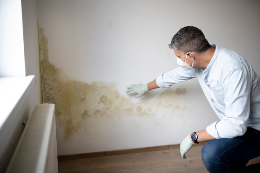 A man wearing protective gear examines mold on a wall