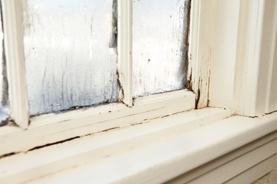 Rotting window inside home