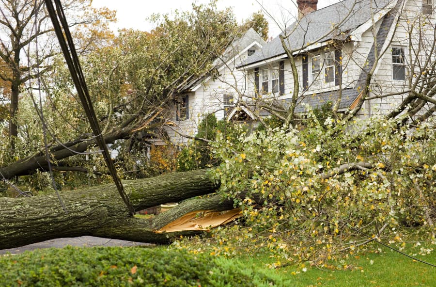 Hurricane Damaged Homes by Fallen Trees And Power Lines