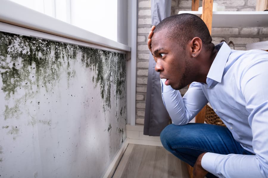 Shocked homeowner looks at mold inside home