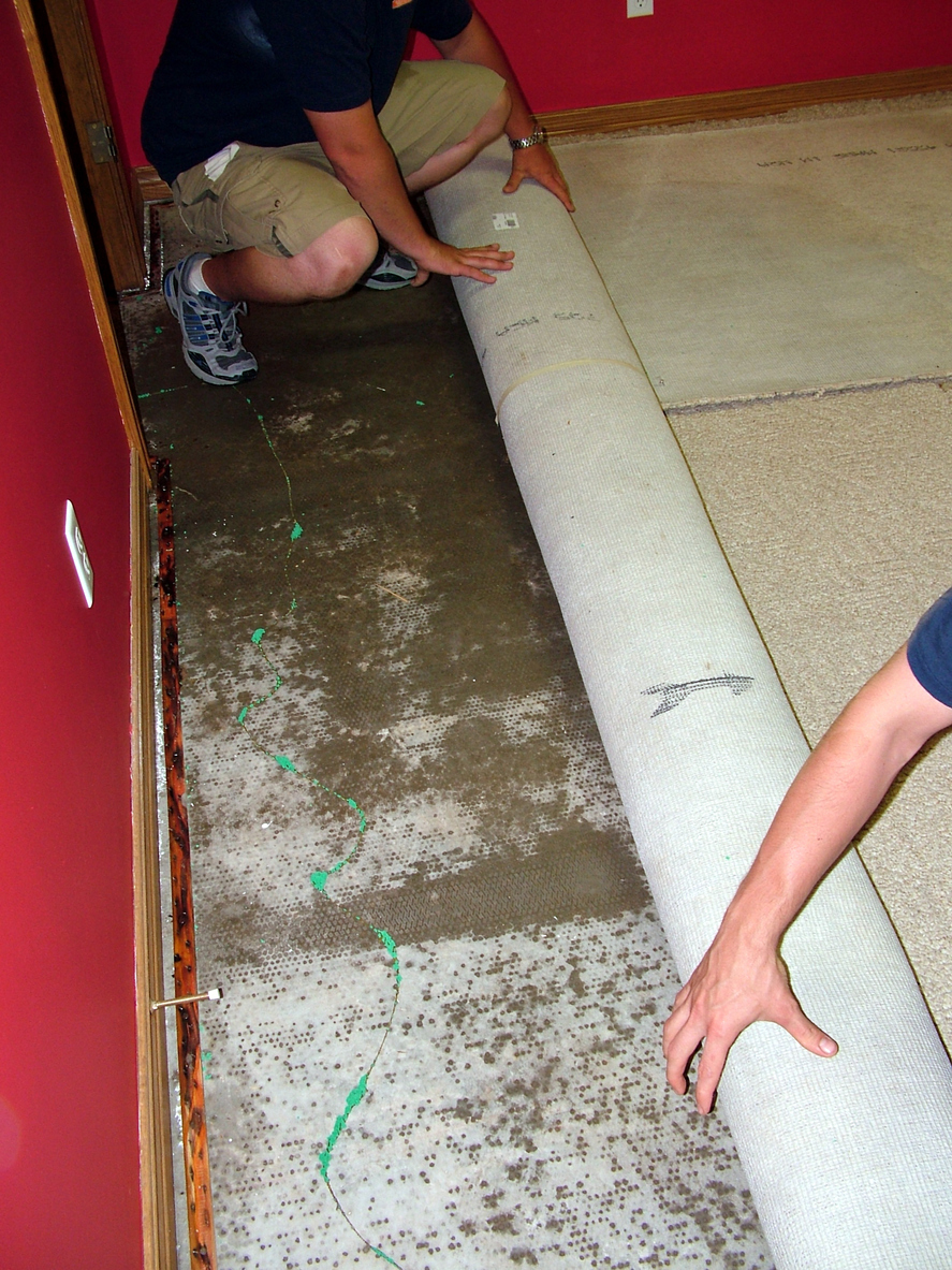 Two people roll back wet carpet in office