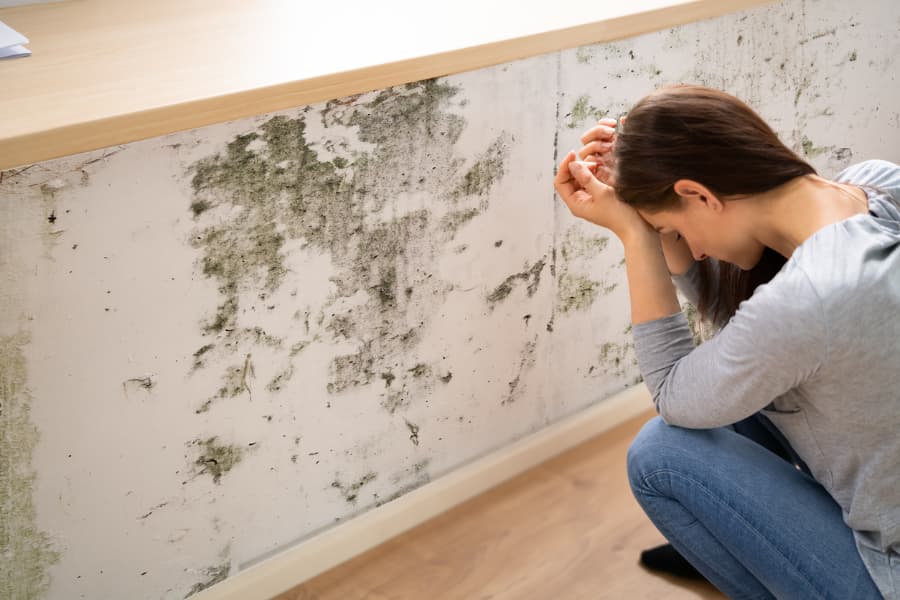 Homeowner discouraged by mold growing on wall