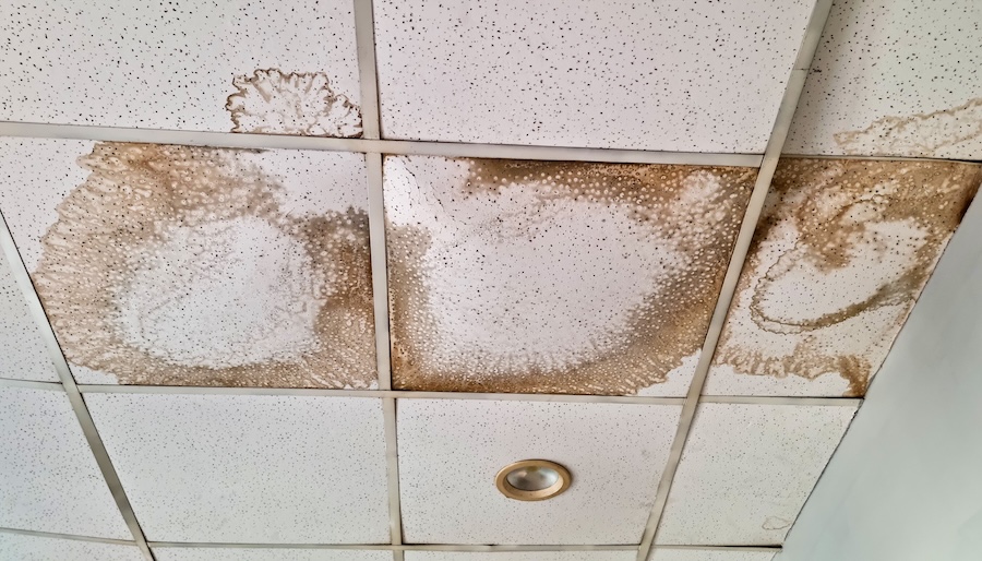 Roof Drain Failure During a DFW Storm? How to Limit Commercial Water Damage and Downtime